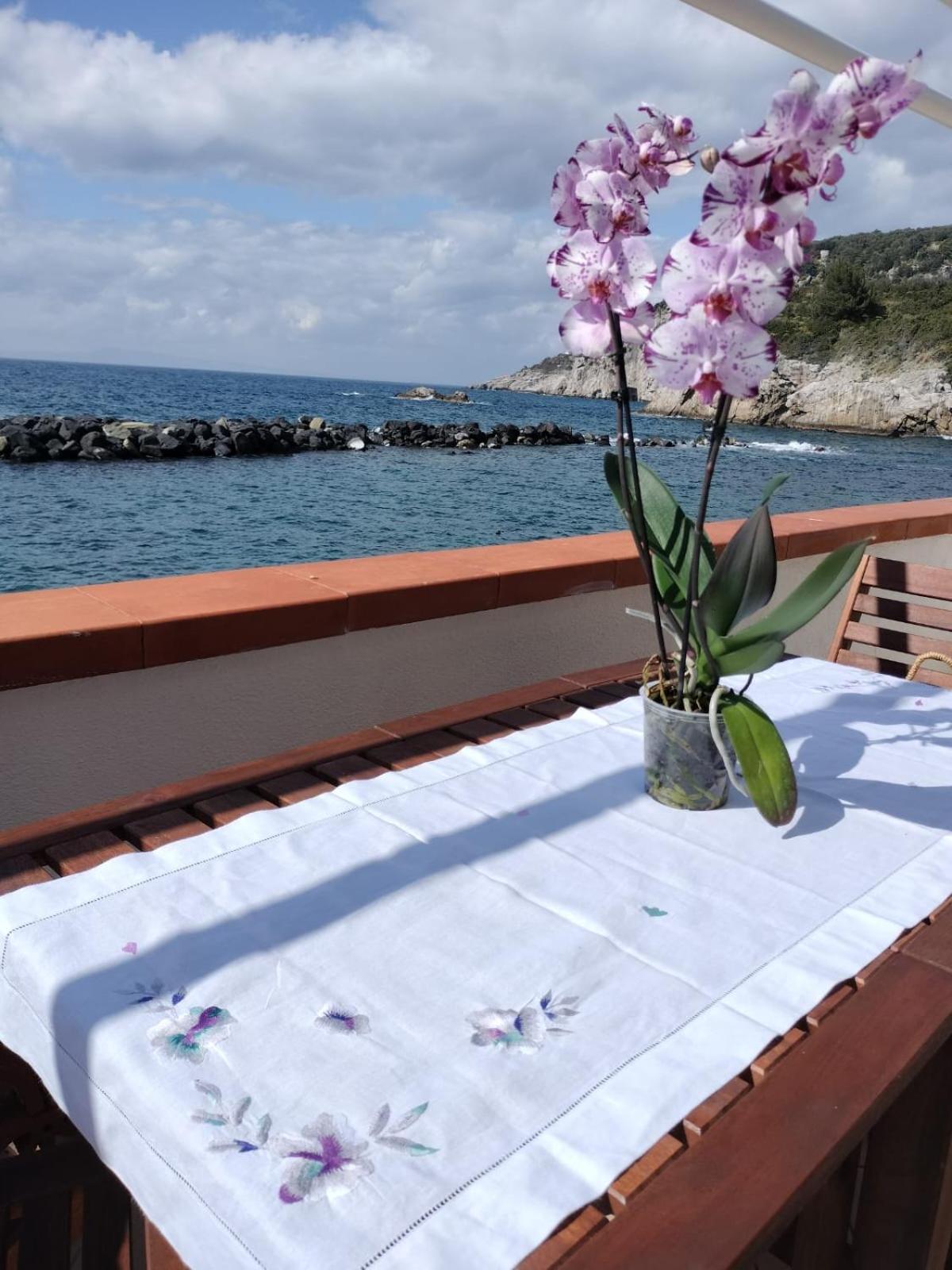 Casa Vacanza Verde Smeraldo- Маса Лубрензе Екстериор снимка